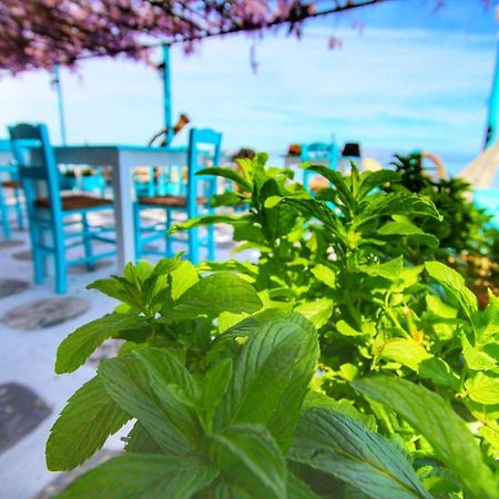 Benitsa Beach Hotel Achilleion ภายนอก รูปภาพ