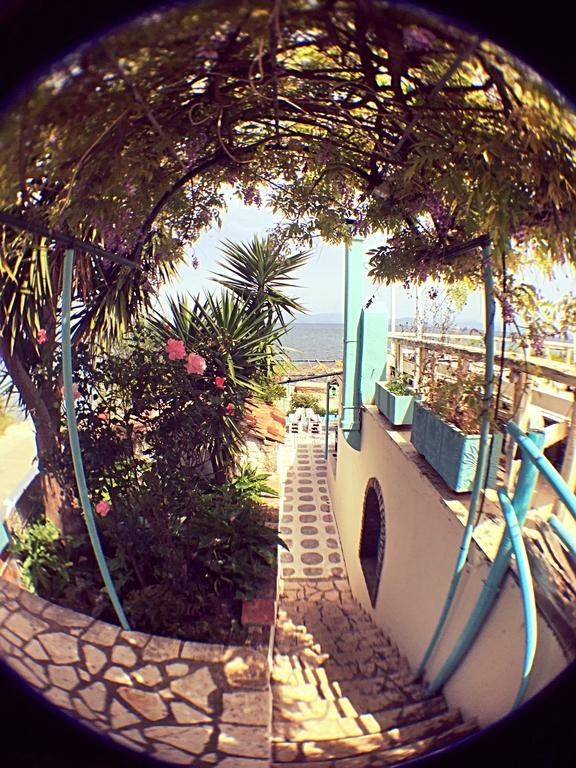 Benitsa Beach Hotel Achilleion ภายนอก รูปภาพ