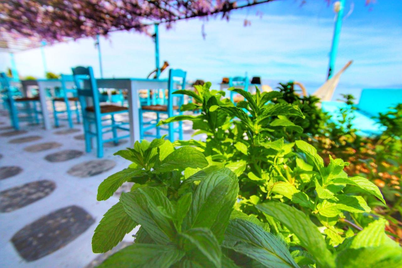 Benitsa Beach Hotel Achilleion ภายนอก รูปภาพ